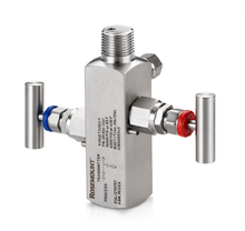 Load image into Gallery viewer, Rosemount™ 3051S2TG5A2A11A00E6M5Q15 + 1 Manifold 0306RT22BA11
